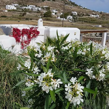 On The Rocks Mykonos